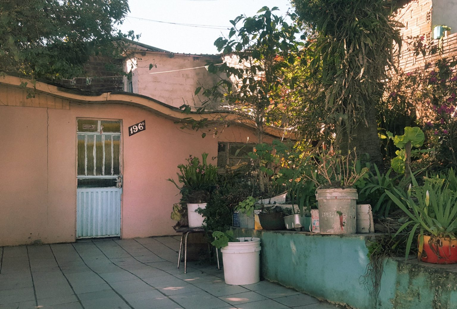 The Possible Health Dangers of Unclean House Chicago Vegan Mania